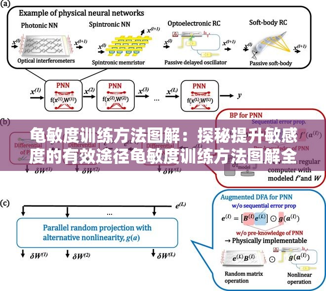 龟敏度训练方法图解：探秘提升敏感度的有效途径龟敏度训练方法图解全解：如何增强敏感度的关键步骤龟敏度训练方法图解剖析：掌握提升敏感度的奥秘技巧龟敏度训练方法图解解读：探寻提升敏感度的实用策略龟敏度训练方法图解揭秘：实现敏感度增强的实用方法龟敏度训练方法图解探索：找寻提升敏感度的有效方式龟敏度训练方法图解解析：掌握提升敏感度的关键要点龟敏度训练方法图解详析：探寻提升敏感度的实用途径