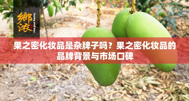 果之密化妆品是杂牌子吗？果之密化妆品的品牌背景与市场口碑