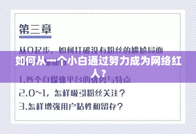 如何从一个小白通过努力成为网络红人？