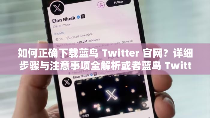 如何正确下载蓝鸟 Twitter 官网？详细步骤与注意事项全解析或者蓝鸟 Twitter 官网下载全攻略，教你轻松获取的方法与技巧大揭秘