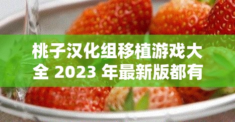 桃子汉化组移植游戏大全 2023 年最新版都有哪些精彩游戏？快来一探究竟