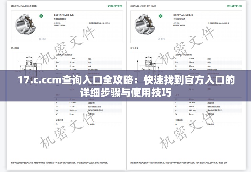 17.c.ccm查询入口全攻略：快速找到官方入口的详细步骤与使用技巧