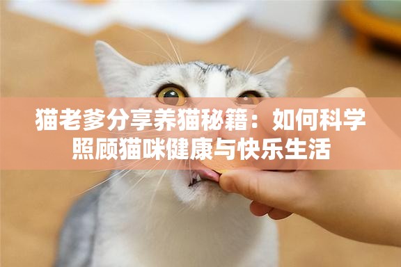 猫老爹分享养猫秘籍：如何科学照顾猫咪健康与快乐生活