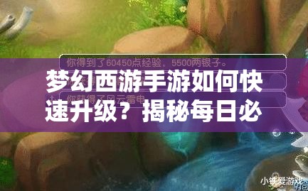 梦幻西游手游如何快速升级？揭秘每日必做任务与未来玩法新变革！