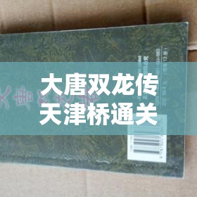 大唐双龙传天津桥通关秘籍何在？全面解析天津桥副本难点