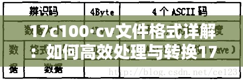 17c100·cv文件格式详解：如何高效处理与转换17c100·cv格式的数据？