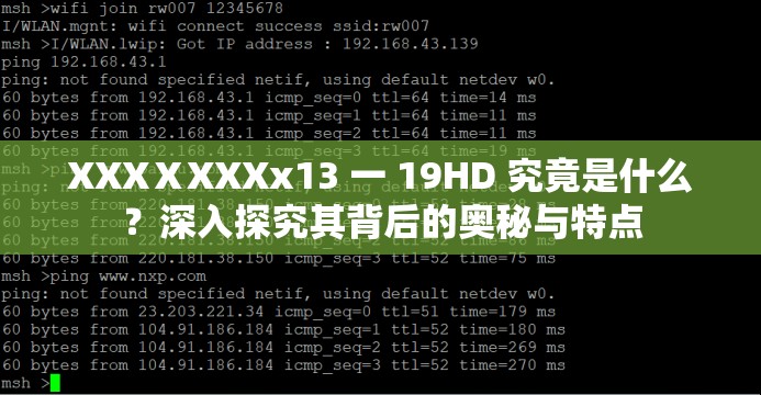 XXXⅩXXXx13 一 19HD 究竟是什么？深入探究其背后的奥秘与特点
