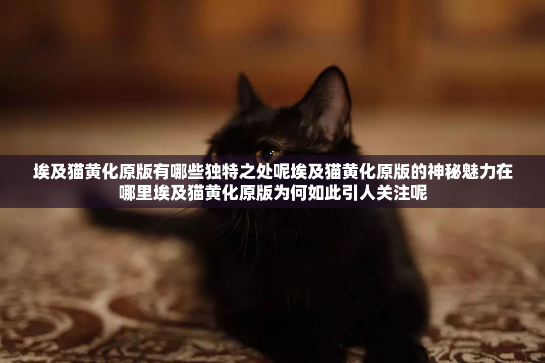 埃及猫黄化原版有哪些独特之处呢埃及猫黄化原版的神秘魅力在哪里埃及猫黄化原版为何如此引人关注呢