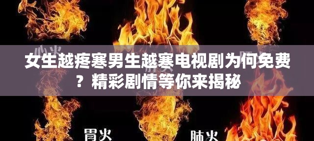 女生越疼寒男生越寒电视剧为何免费？精彩剧情等你来揭秘