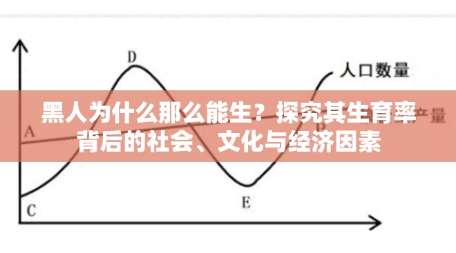 黑人为什么那么能生？探究其生育率背后的社会、文化与经济因素