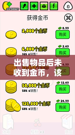 出售物品后未收到金币，该如何快速有效解决问题？