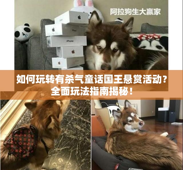 如何玩转有杀气童话国王悬赏活动？全面玩法指南揭秘！