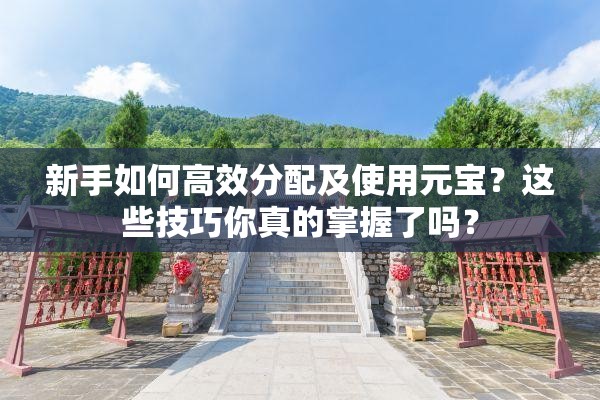 新手如何高效分配及使用元宝？这些技巧你真的掌握了吗？