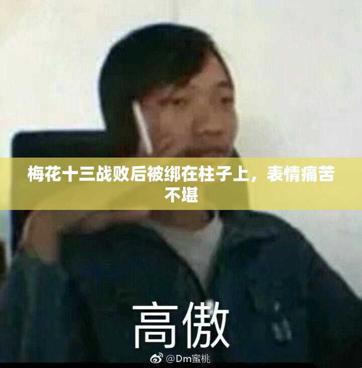 梅花十三战败后被绑在柱子上，表情痛苦不堪