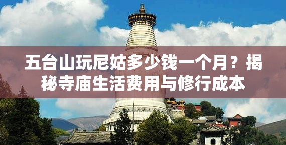 五台山玩尼姑多少钱一个月？揭秘寺庙生活费用与修行成本