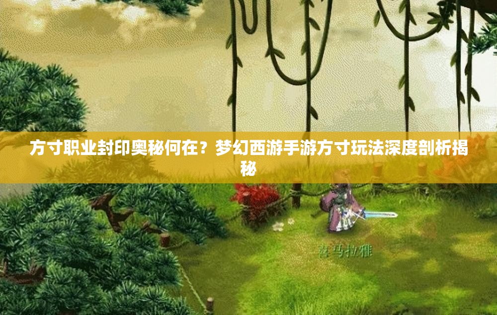 方寸职业封印奥秘何在？梦幻西游手游方寸玩法深度剖析揭秘