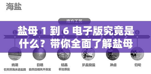 盐母 1 到 6 电子版究竟是什么？带你全面了解盐母 1 到 6 电子版的奥秘