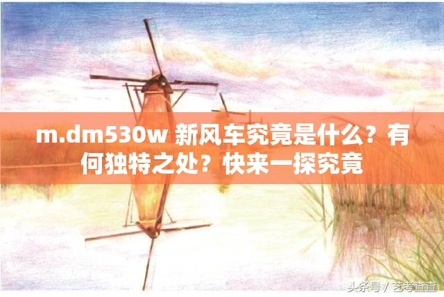 m.dm530w 新风车究竟是什么？有何独特之处？快来一探究竟