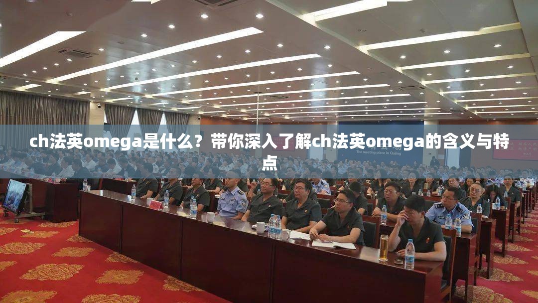 ch法英omega是什么？带你深入了解ch法英omega的含义与特点