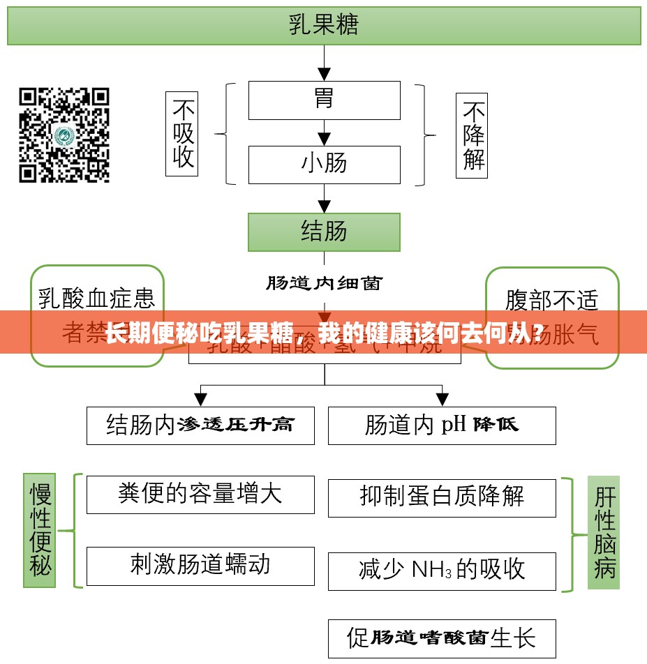 长期便秘吃乳果糖，我的健康该何去何从？