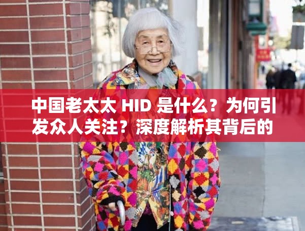 中国老太太 HID 是什么？为何引发众人关注？深度解析其背后的故事