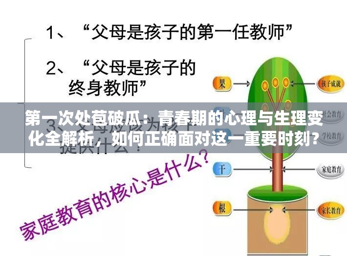 第一次处苞破瓜：青春期的心理与生理变化全解析，如何正确面对这一重要时刻？