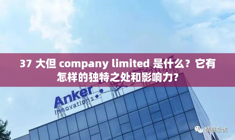 37 大但 company limited 是什么？它有怎样的独特之处和影响力？