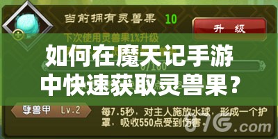 如何在魔天记手游中快速获取灵兽果？灵宠升级必备道具揭秘！