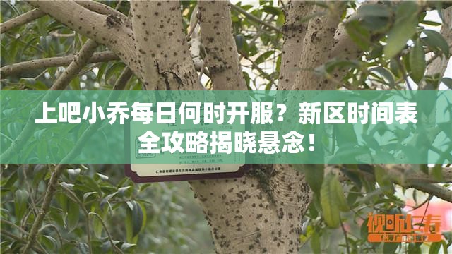 上吧小乔每日何时开服？新区时间表全攻略揭晓悬念！