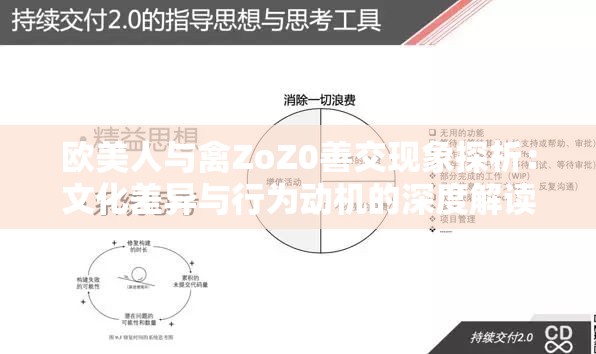 欧美人与禽ZoZ0善交现象探析：文化差异与行为动机的深度解读