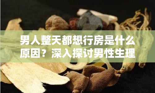 男人整天都想行房是什么原因？深入探讨男性生理与心理需求的科学解释