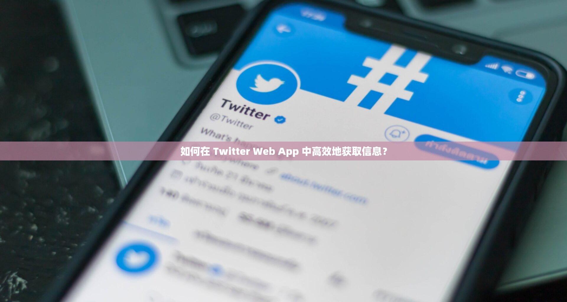 如何在 Twitter Web App 中高效地获取信息？