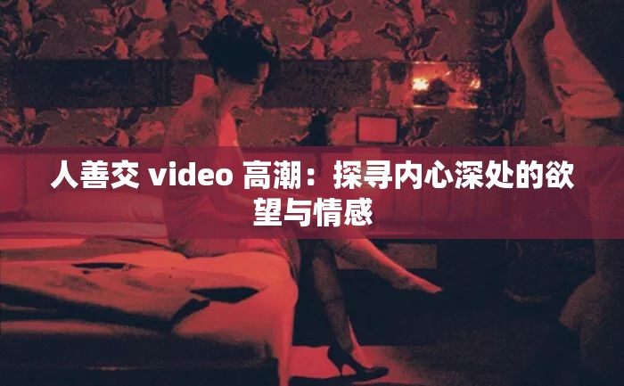 人善交 video 高潮：探寻内心深处的欲望与情感