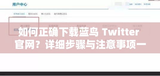 如何正确下载蓝鸟 Twitter 官网？详细步骤与注意事项一览