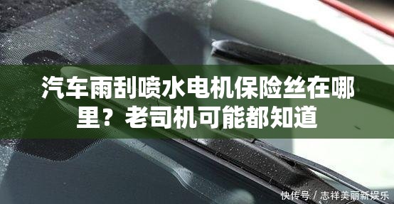 汽车雨刮喷水电机保险丝在哪里？老司机可能都知道