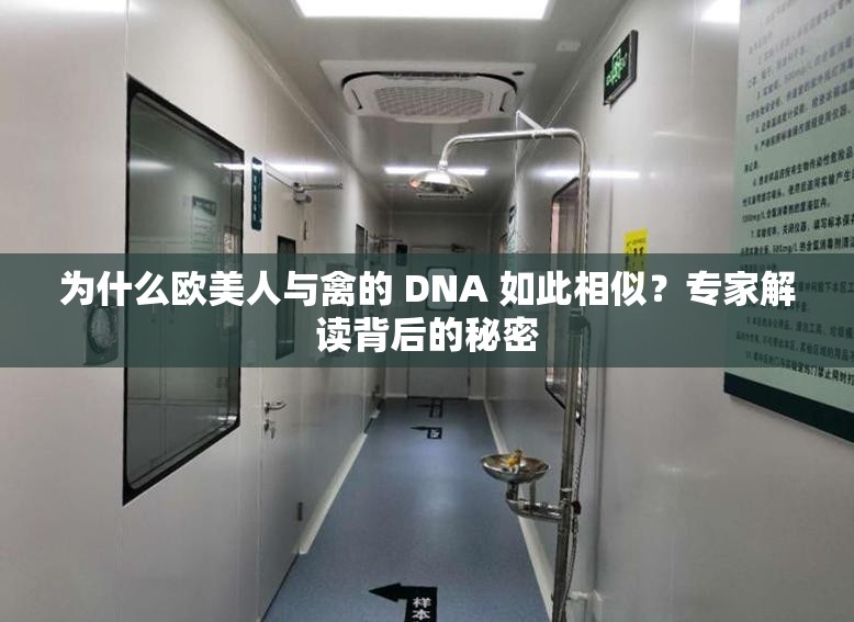 为什么欧美人与禽的 DNA 如此相似？专家解读背后的秘密