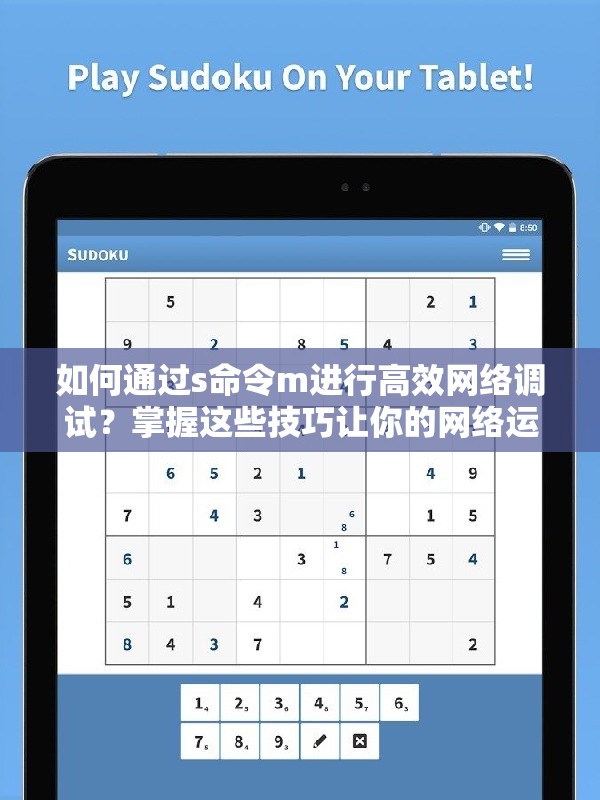 如何通过s命令m进行高效网络调试？掌握这些技巧让你的网络运行更顺畅