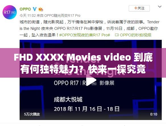 FHD XXXX Movies video 到底有何独特魅力？快来一探究竟