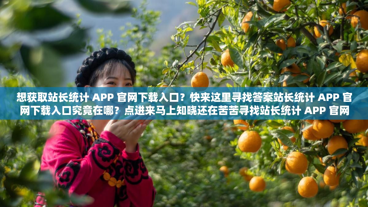 想获取站长统计 APP 官网下载入口？快来这里寻找答案站长统计 APP 官网下载入口究竟在哪？点进来马上知晓还在苦苦寻找站长统计 APP 官网下载入口？这里揭晓