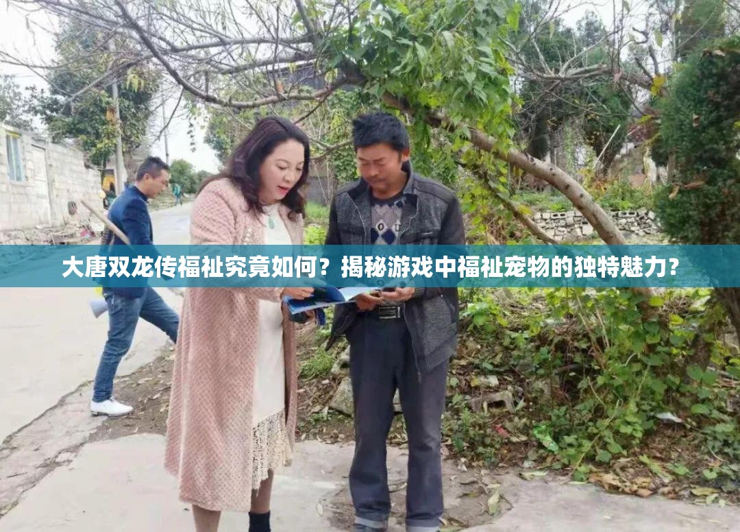 大唐双龙传福祉究竟如何？揭秘游戏中福祉宠物的独特魅力？