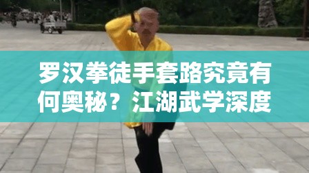 罗汉拳徒手套路究竟有何奥秘？江湖武学深度解析来揭秘！