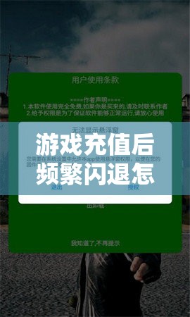 游戏充值后频繁闪退怎么办？完美解决教程大揭秘！